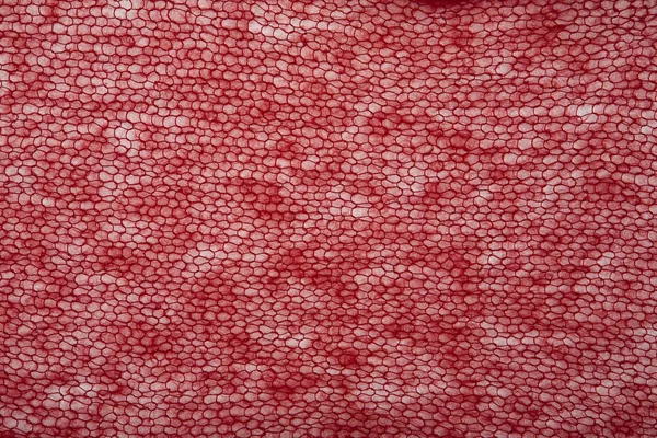 Tejido de mohair rojo de punto —  Fotos de Stock