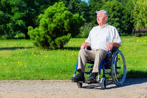 Happy old man on wheelchair in the park — Stock Photo, Image