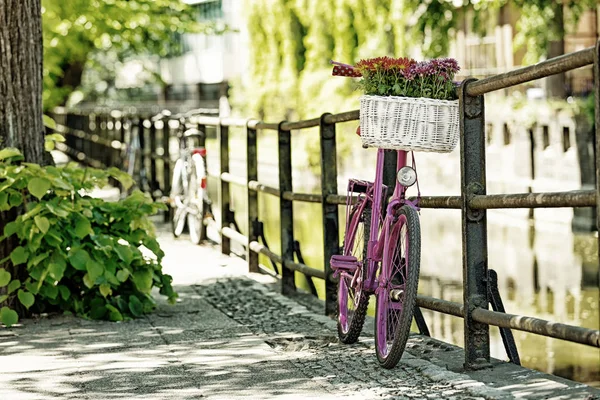 Bicicleta rosa de pie por barrera de metal — Foto de Stock