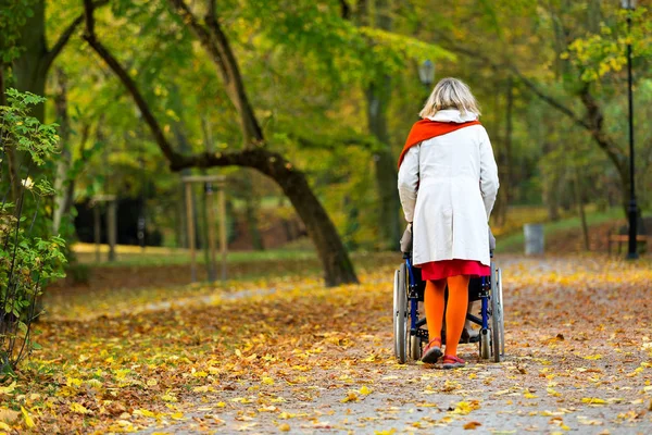 Νεαρή γυναίκα τρέχει το αναπηρικό αμαξίδιο στο πάρκο — Φωτογραφία Αρχείου