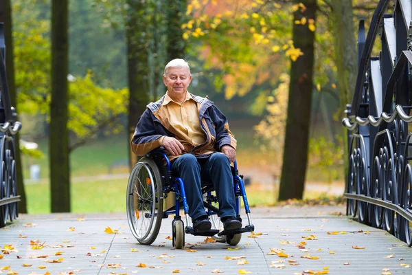 Happy old man on wheelchair in the park — Stock Photo, Image