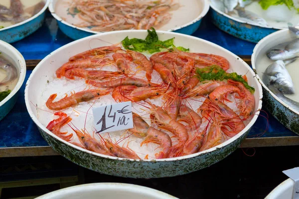 Srimps for sale at the market — 스톡 사진