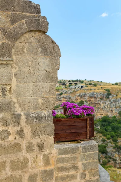 purple flowers on old balcony