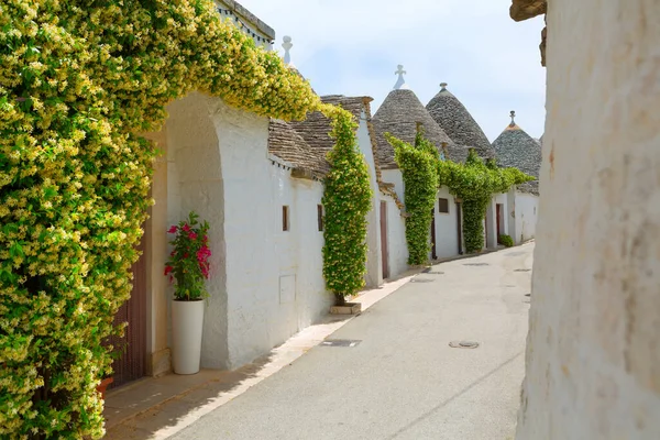 Rua Pequena Com Casas Trullo Decoradas Com Flores Alberobello Itália — Fotografia de Stock