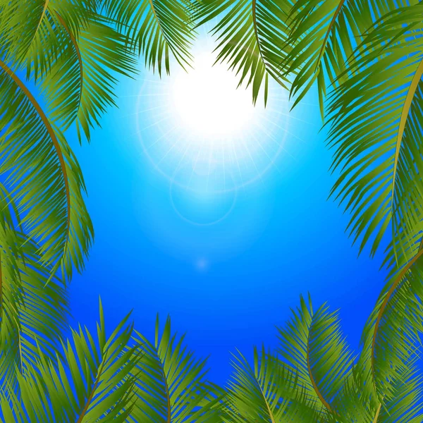 晴れた青空に熱帯のヤシの木のフレーム — ストックベクタ