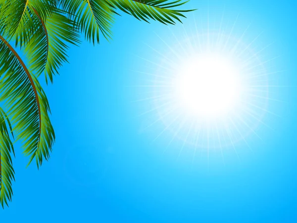 Тропический пейзаж с пальмой — стоковый вектор