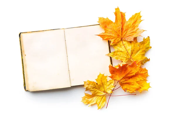 Boek en Herfstbladeren. — Stockfoto