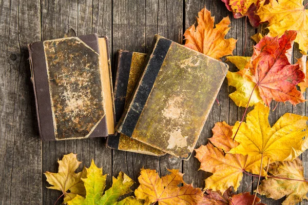 Książki i jesiennych liści. — Zdjęcie stockowe