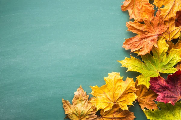 Kolorowe jesienne liście. — Zdjęcie stockowe