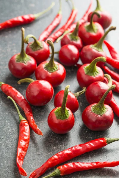 Červené chilli papričky. — Stock fotografie