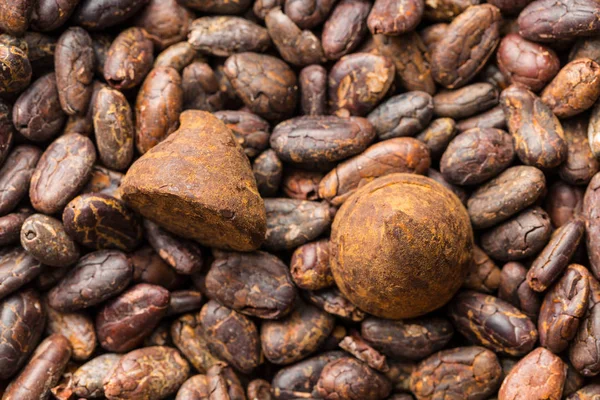 Kakao çekirdeği üzerinde tatlı çikolata truffles. — Stok fotoğraf