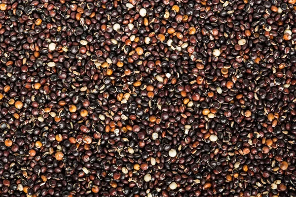 Siyah quinoa tohumları — Stok fotoğraf