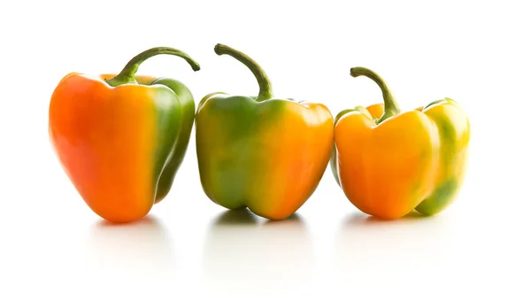 Bunte Paprika. — Stockfoto