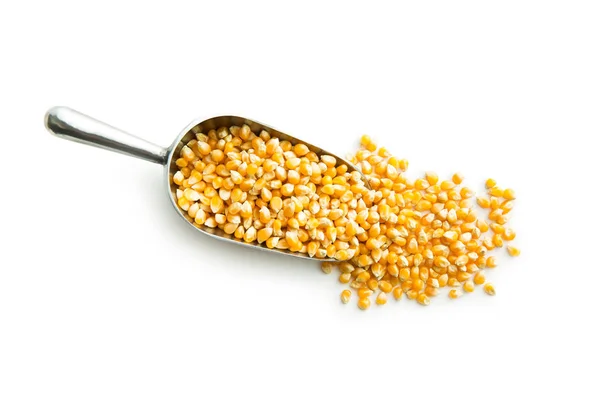 A kukorica vetőmag. — Stock Fotó