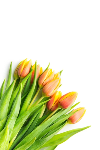 Mazzo di fiori di tulipano arancione . — Foto Stock