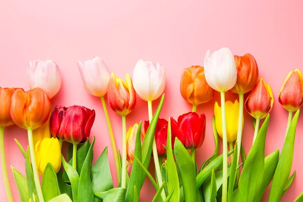 Kilka kwiatów tulipanów. — Zdjęcie stockowe