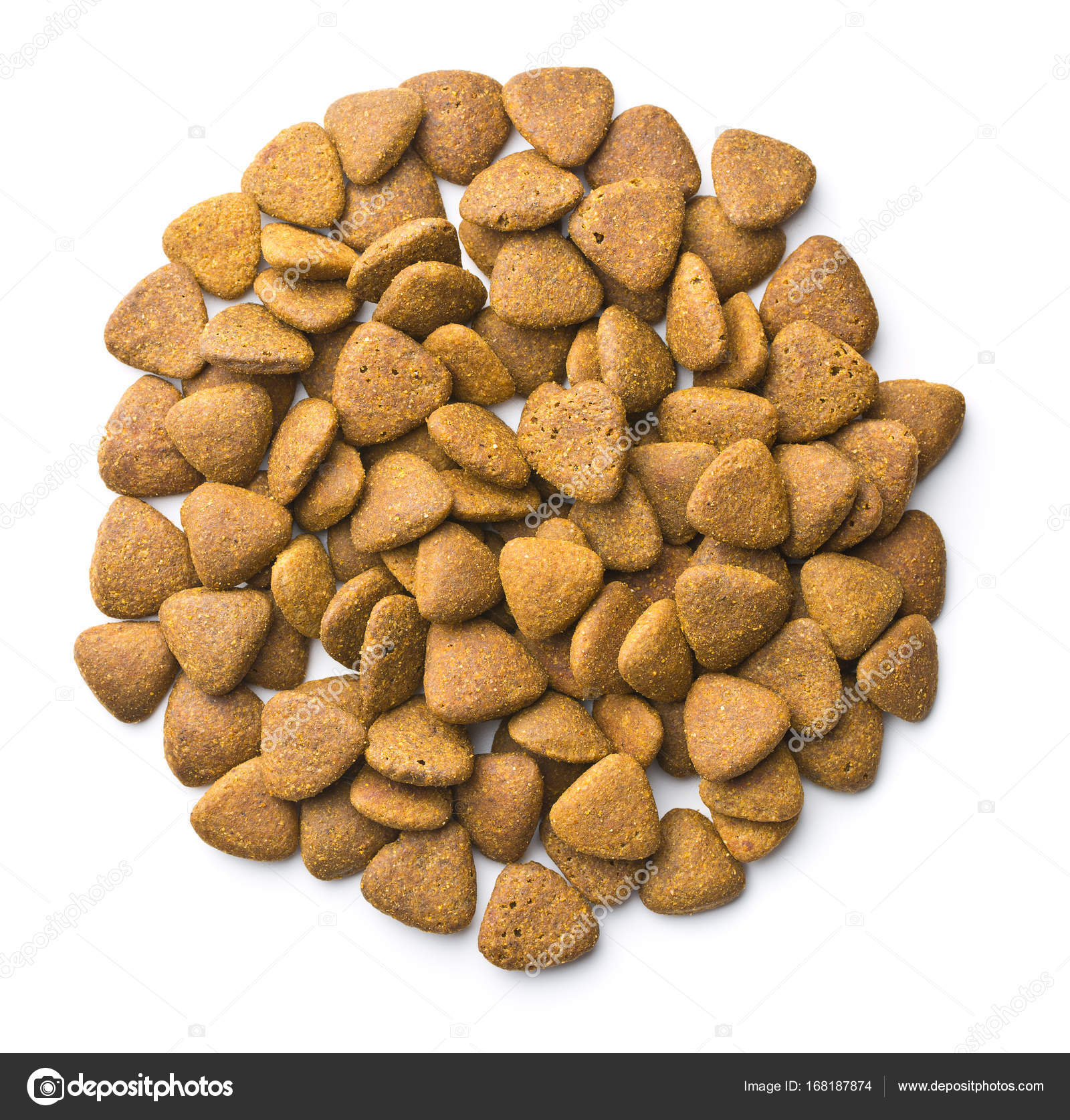 Dry kibble dog food. Stock Photo jirkaejc 168187874