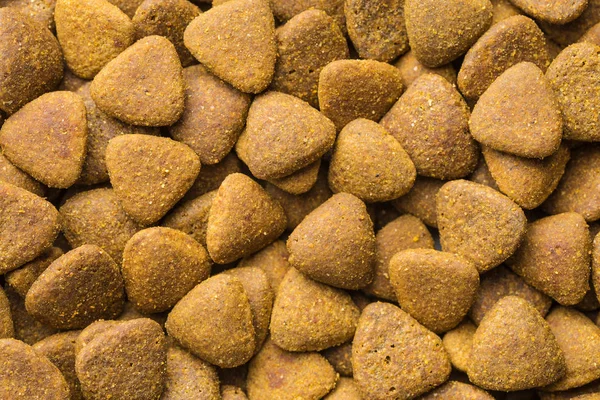 Dry kibble dog food. — Stock Photo, Image