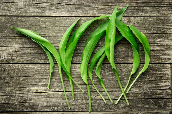 Bärlauchblätter oder Bärlauch — Stockfoto