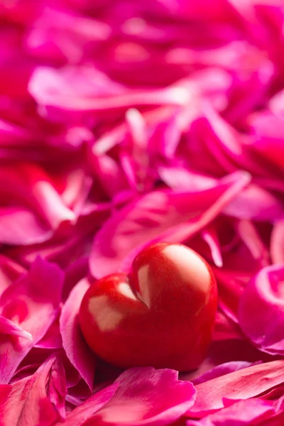 Cuore su petali di peonia sfondo . — Foto Stock