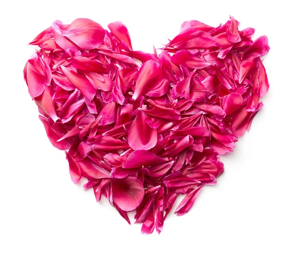 Heart made of peony petals. — Stock Photo, Image