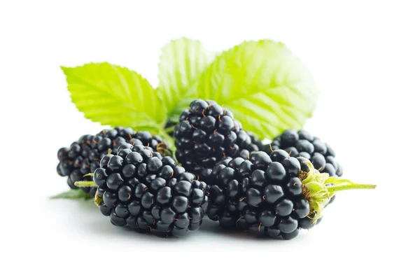 Lekkere rijpe blackberry. — Stockfoto