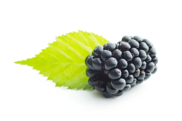 Leckere reife Brombeeren. — Stockfoto