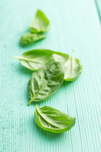 Green basil leaves. — Stock Photo, Image