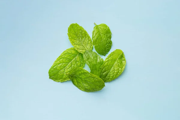 Green mint leaves. — Stock Photo, Image