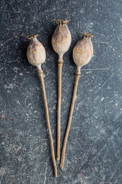 Dried poppy heads. — Stock Photo, Image