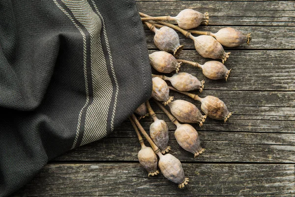 Dried poppy heads. — Stock Photo, Image