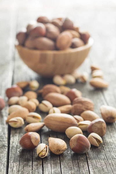 Olika typer av nötter i nötskal. — Stockfoto