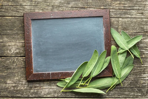 Chalkboard and sage leaves. — Stock Photo, Image