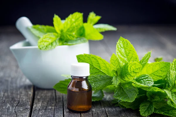 Bottle of essential mint oil. — Stock Photo, Image
