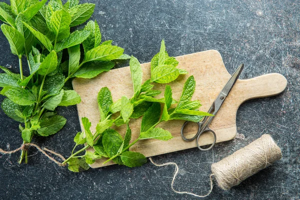 Dal nane yaprakları ve iplik makas ile kesme. — Stok fotoğraf