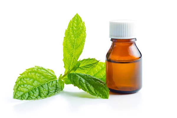 Bottle of essential mint oil. — Stock Photo, Image