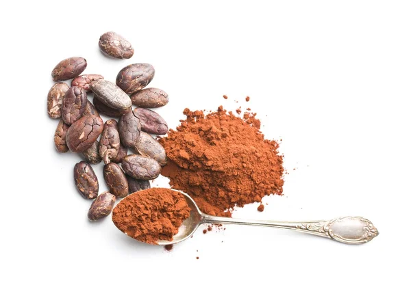 Sabroso cacao en polvo y frijoles . — Foto de Stock