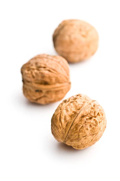 Nueces secas sabrosas . — Foto de Stock