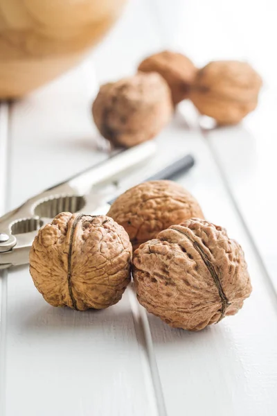 Tasty dried walnuts. — Stock Photo, Image