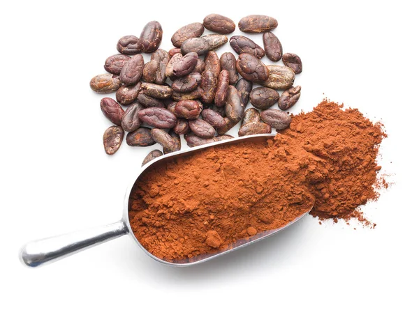Lekkere cacaopoeder en bonen. — Stockfoto