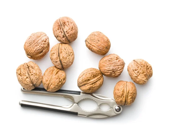 Tasty dried walnuts and nutcracker. — Stock Photo, Image