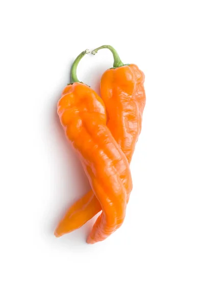 Naranja pimienta vegetal . —  Fotos de Stock
