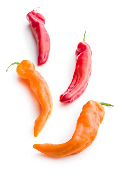 Röda och orange paprika vegetabiliska. — Stockfoto