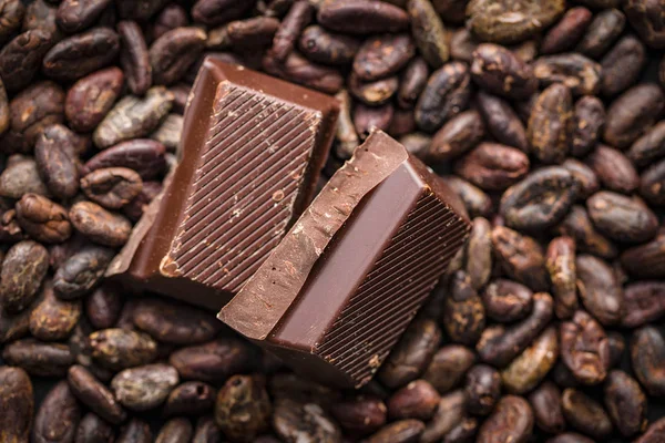 Tmavé čokolády a kakaové boby. — Stock fotografie