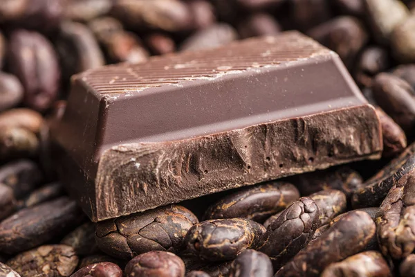 Dunkle Schokolade und Kakaobohnen. — Stockfoto