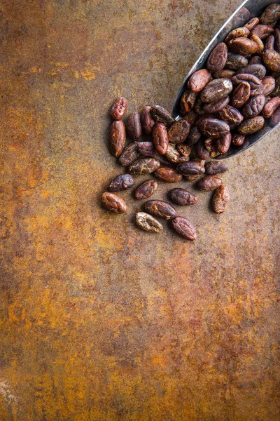 Tmavé kakaové boby. — Stock fotografie