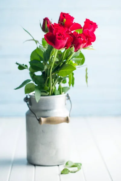 Rote Rosenblüte. — Stockfoto