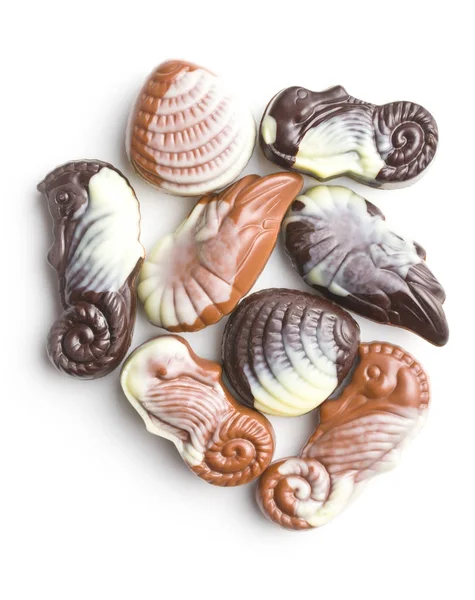 Édes csokoládé tengeri kagylókból. — Stock Fotó
