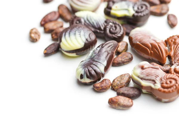 甘いチョコレートの貝殻とココア豆. — ストック写真