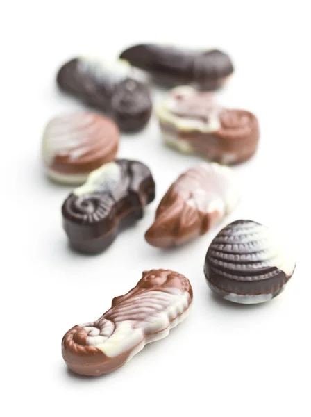 Sweet chocolate seashells. — Stock Photo, Image